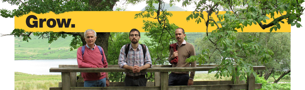 grow-creative-design-consultancy